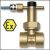 UR1_ UR2 G_A Paddle Type Flow Switch With ATEX Option
